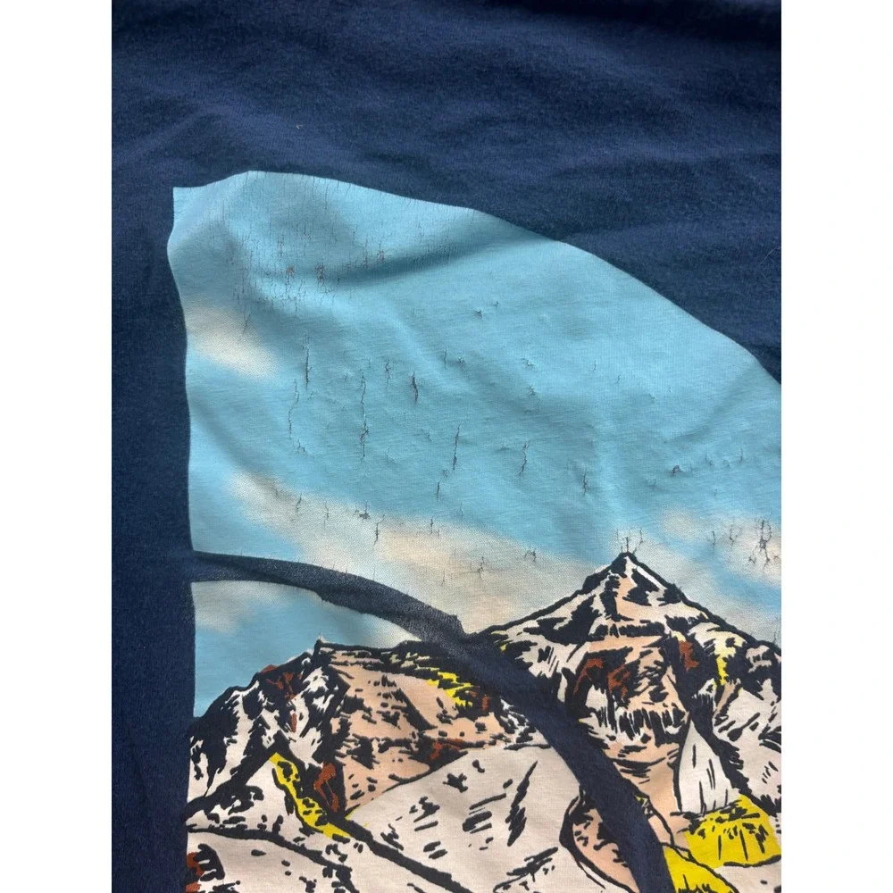 The North Face Long Sleeve Shirt Mens Large Blue Mountain Graphic Tee 67065